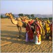 Colorful Heritage Tour – Rajasthan