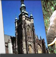 Caper: All India Tours