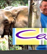 Caper: All India Tours