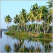 Exotic Kerala Tour