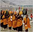 Ladakh Cultural Tour