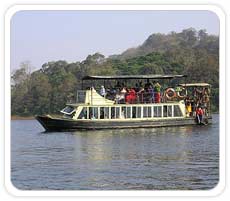 Boat Cruise at Lake Periyar