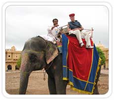 Elephant Ride, Jaipur
