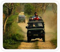 Jeep Safari at Bandhavgarh National Park