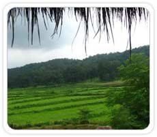 Maikal Hills, Kawardha