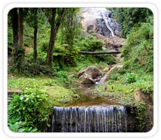 Nilgiri Hills, Periyar