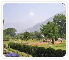 Shalimar Bagh, Srinagar