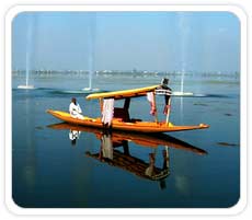 Shikara Boat Ride at Dal Lake