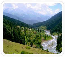 Valley of Shepherds - Pehalgam