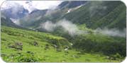 Valley of Flower