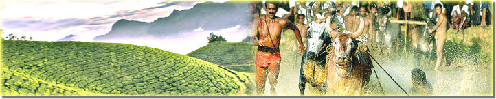 Region Wise Tours - Kerala